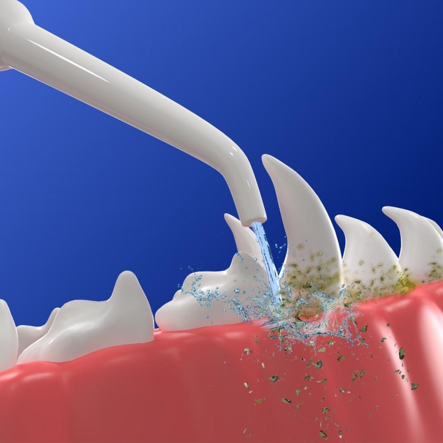 CaniVet Water Jet Tip - Pack of 3