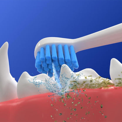 3 Scaler heads + 3 Brush heads