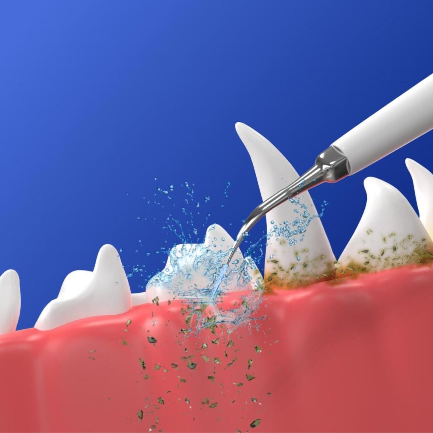 3 Scaler heads + 3 Brush heads